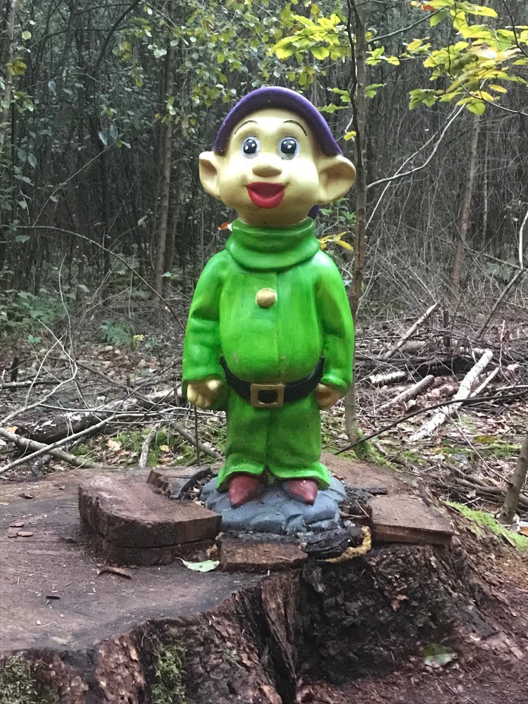 Imagem enviada por Lois