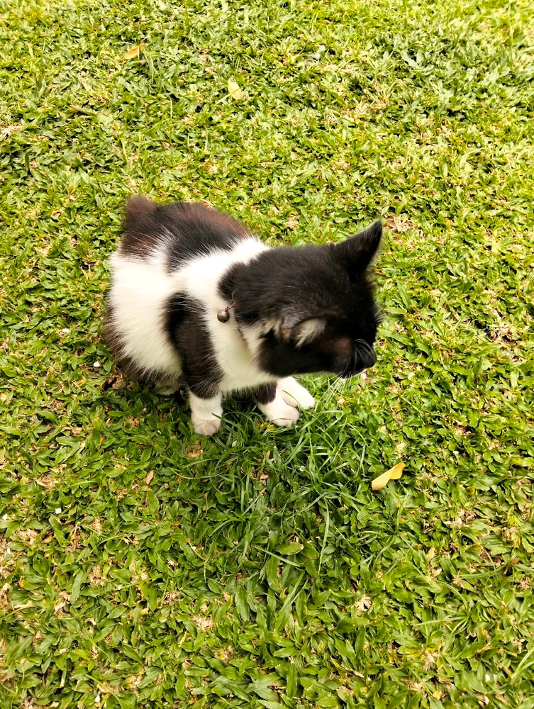 Hardline Stances/beliefs