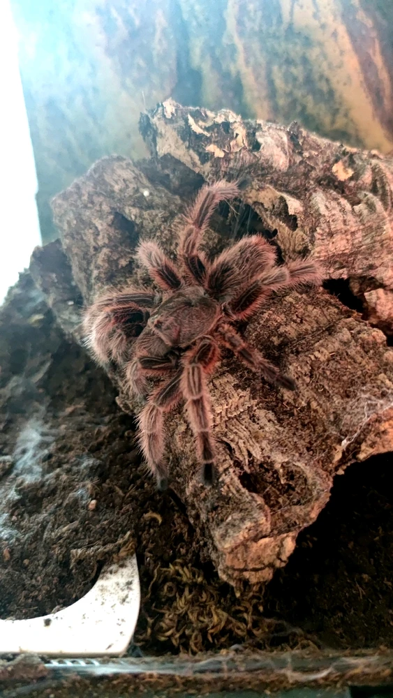 Image uploaded by Tatjana