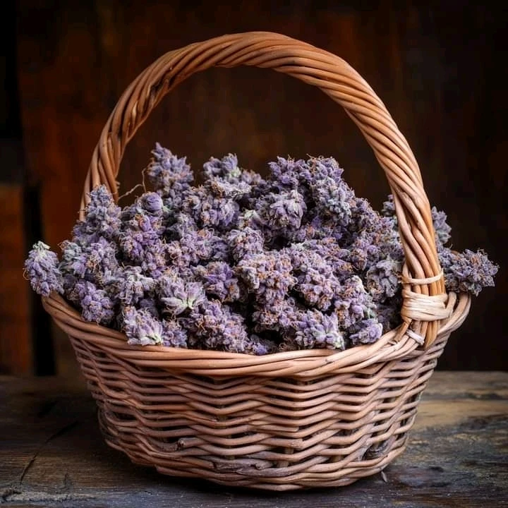 Image uploaded by Classicjosh