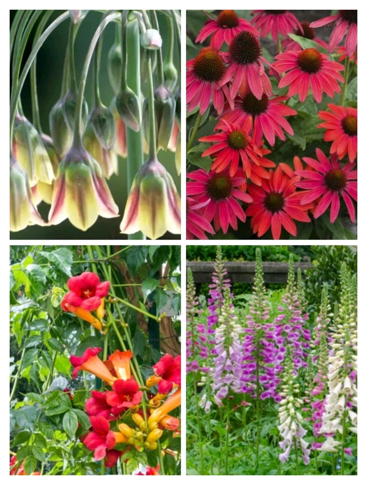 Afbeelding geüpload door Michel