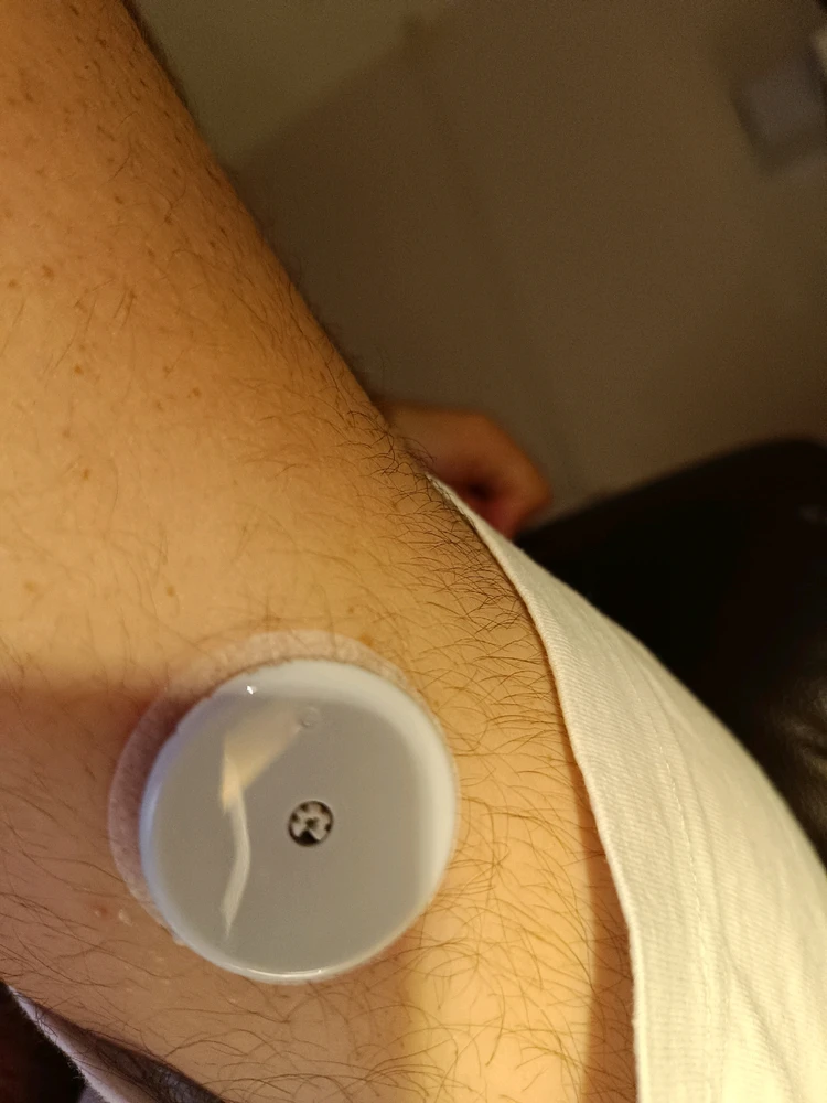 Image uploaded by Shlomi