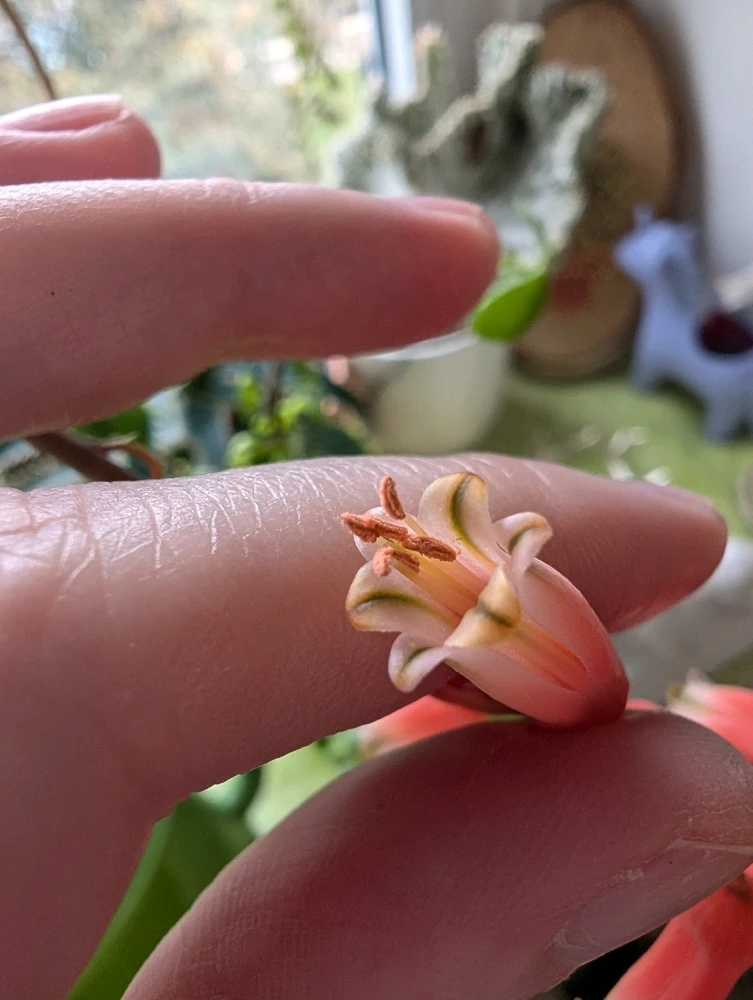 Image uploaded by Madison