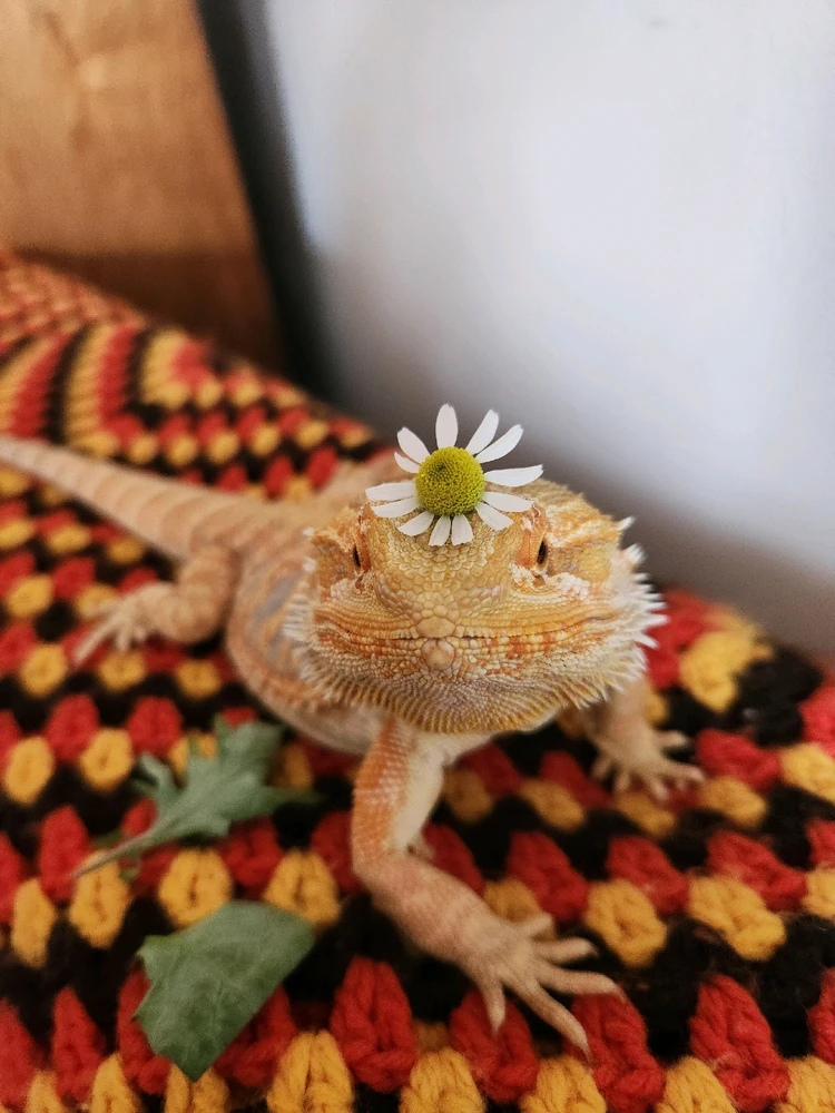 My biological daugther ❤️