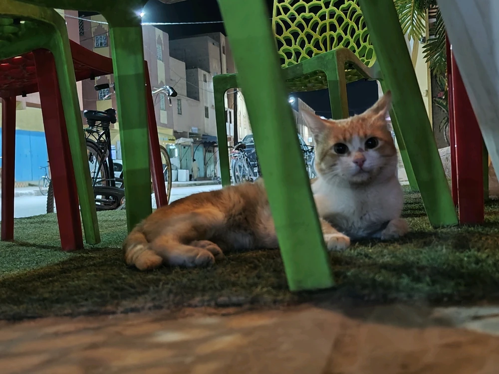 Image uploaded by Amar