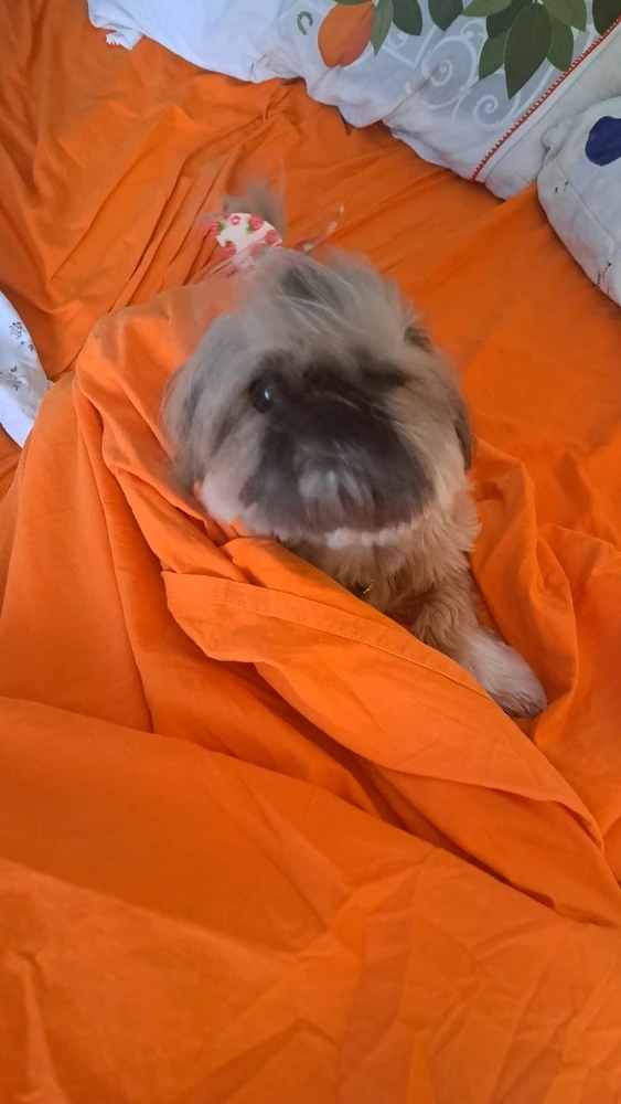 Image uploaded by Yannis