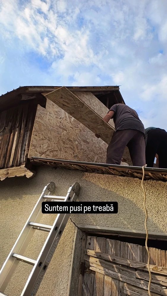 Imagine încărcată de Alexe