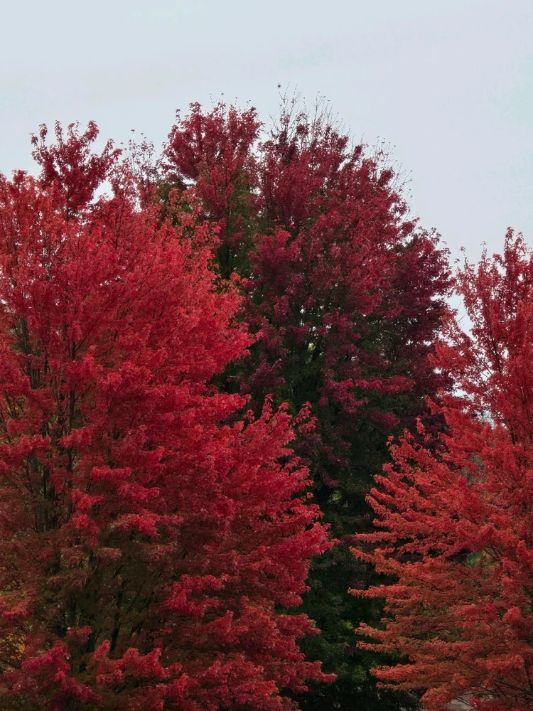 Image uploaded by Martha