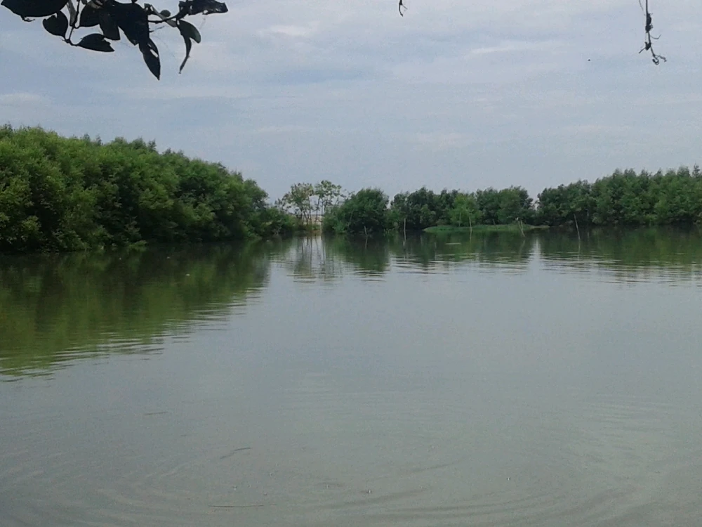 The Lakes. Taylor Swift. PIK, Jakarta.