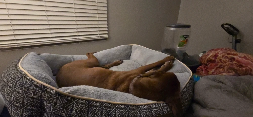 Image uploaded by Mark