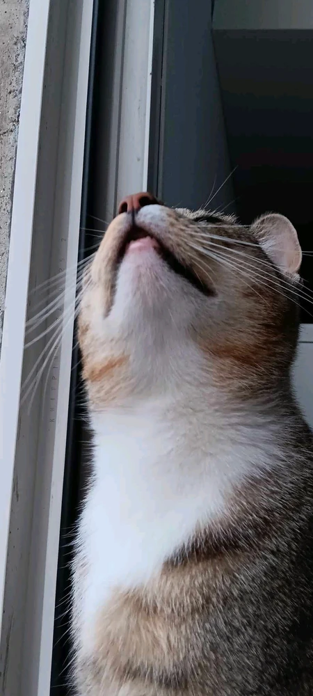 Zdjęcie dodane przez WormX