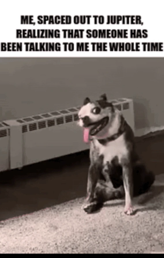 Image uploaded by Mathew