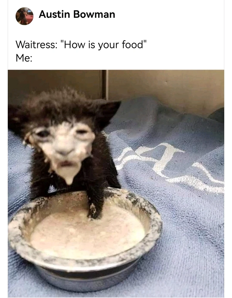 Image uploaded by Rita Monet