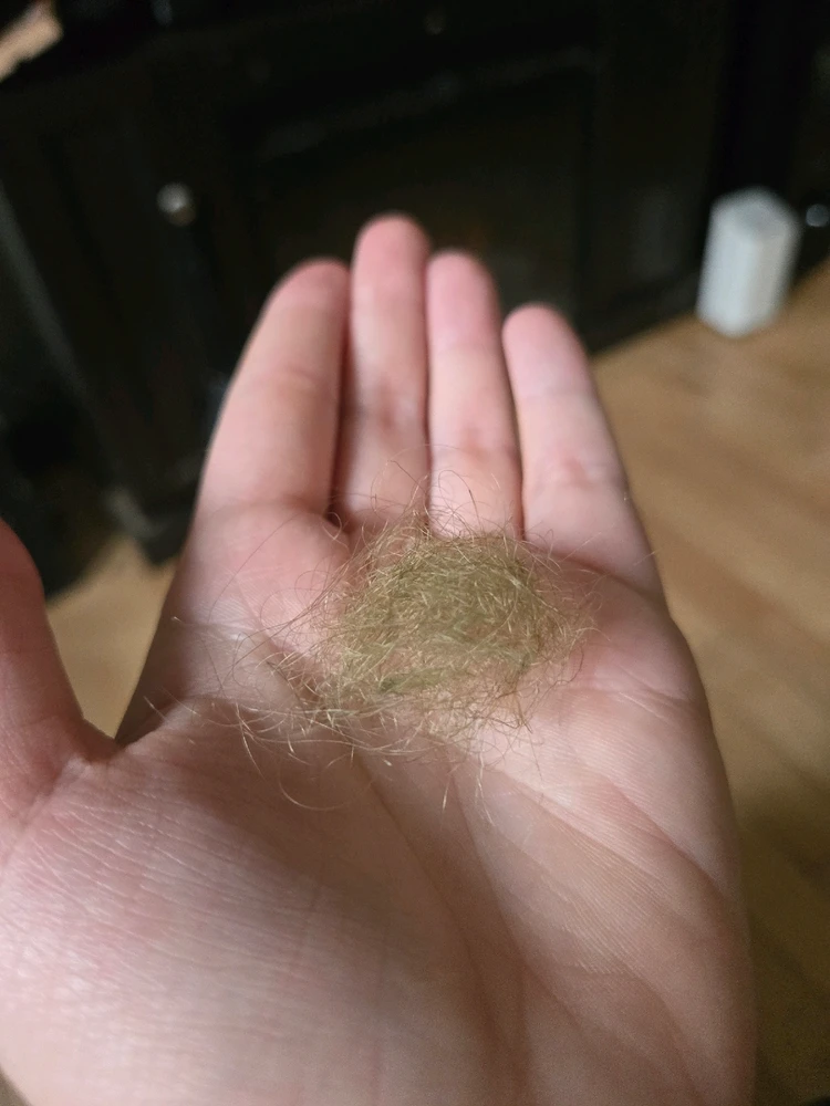 由Kaitie上传的图片
