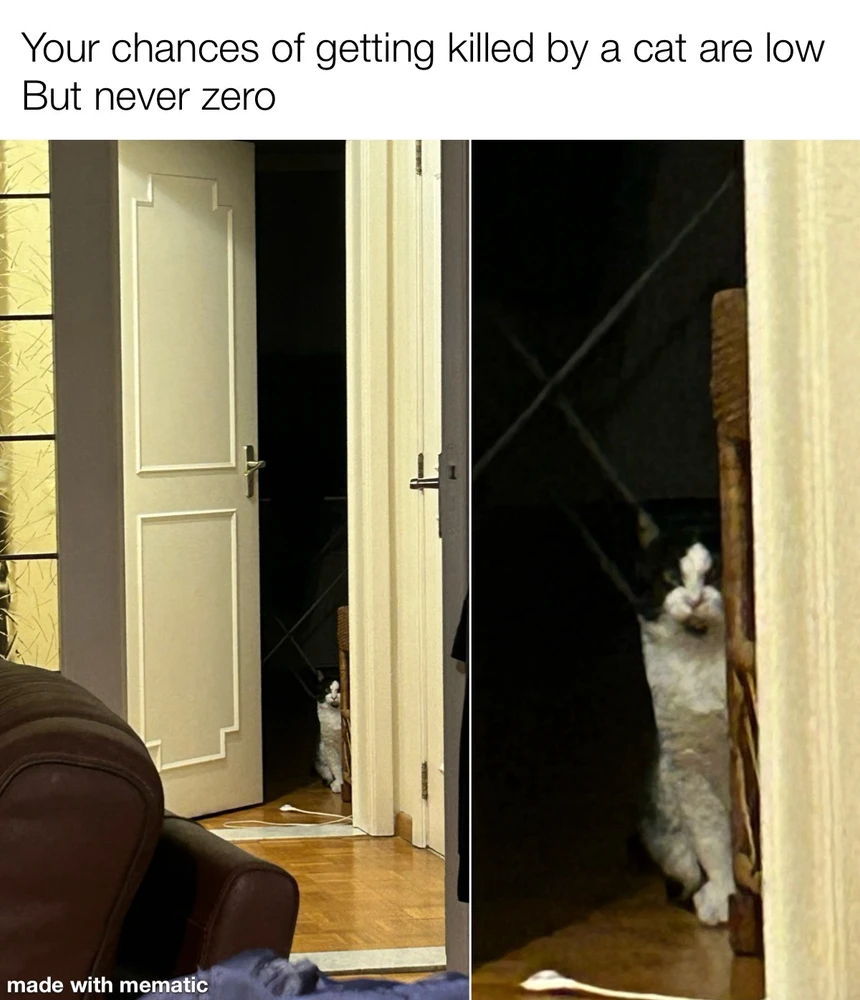 Afbeelding geüpload door Tom