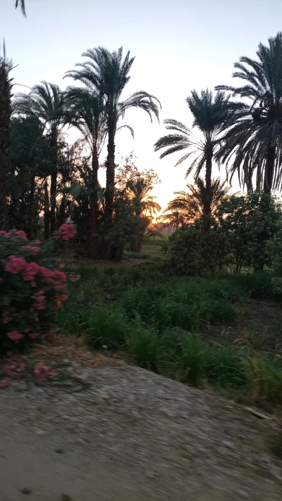 صورة رفعها Mohamed