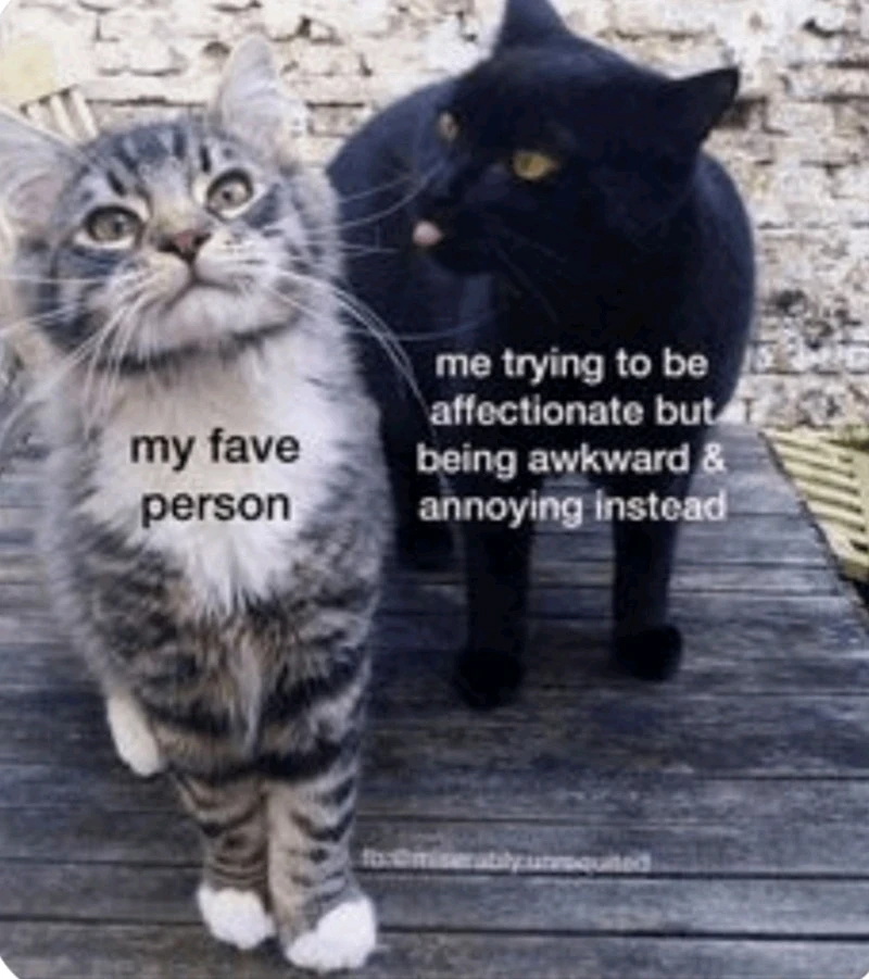 Image uploaded by 《🌹.::Lenöré::.🌹》