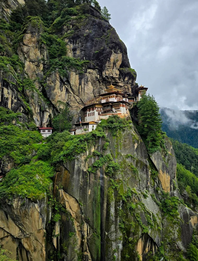 Image uploaded by Ayush
