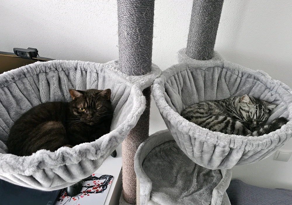 Bild hochgeladen von 𝕁𝕖𝕤𝕤𝕚𝕔𝕒