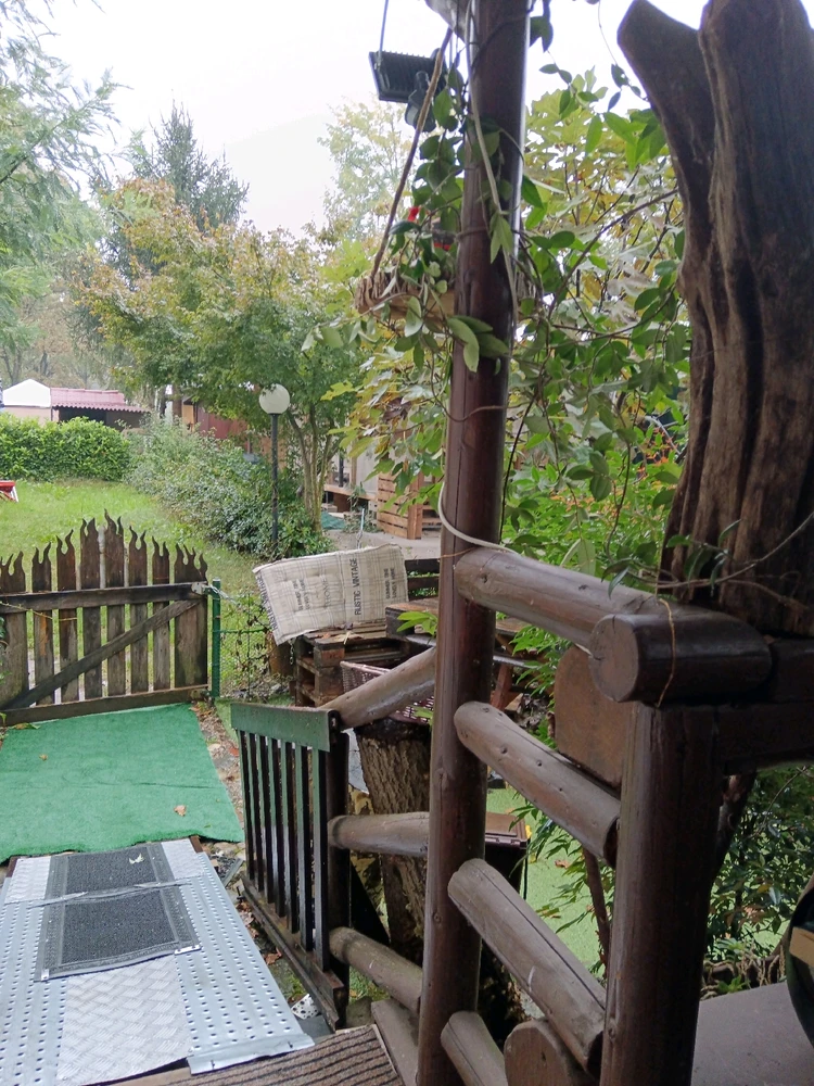 Image uploaded by Andrea