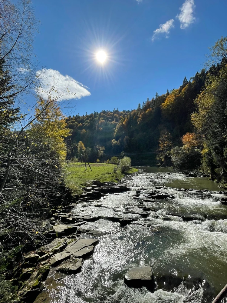Зображення завантажив Сергій