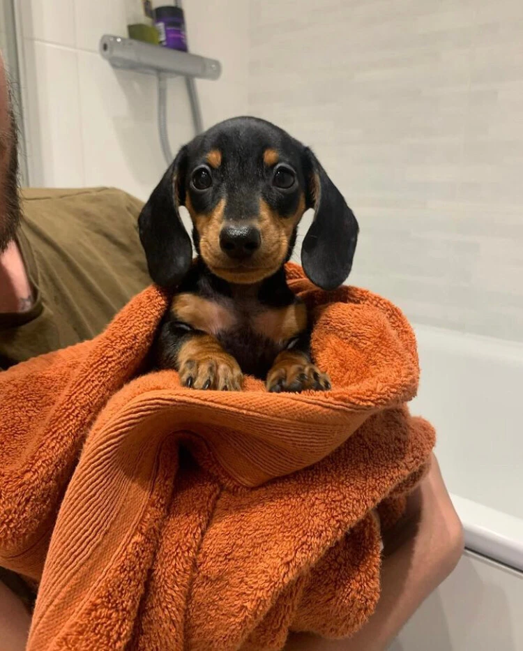 Norbi által feltöltött kép