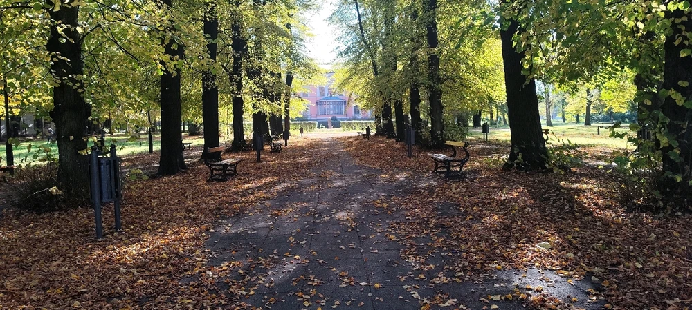 Image ajoutée par Safdar