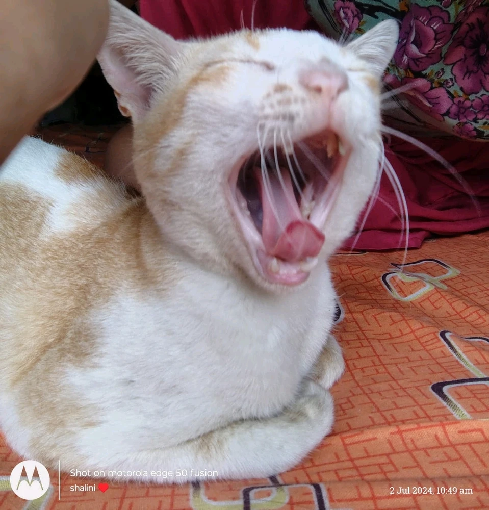 Arijit Ghosh dastidar আপলোড করেছে