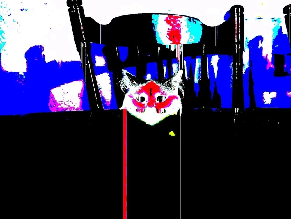 Image uploaded by Hannah