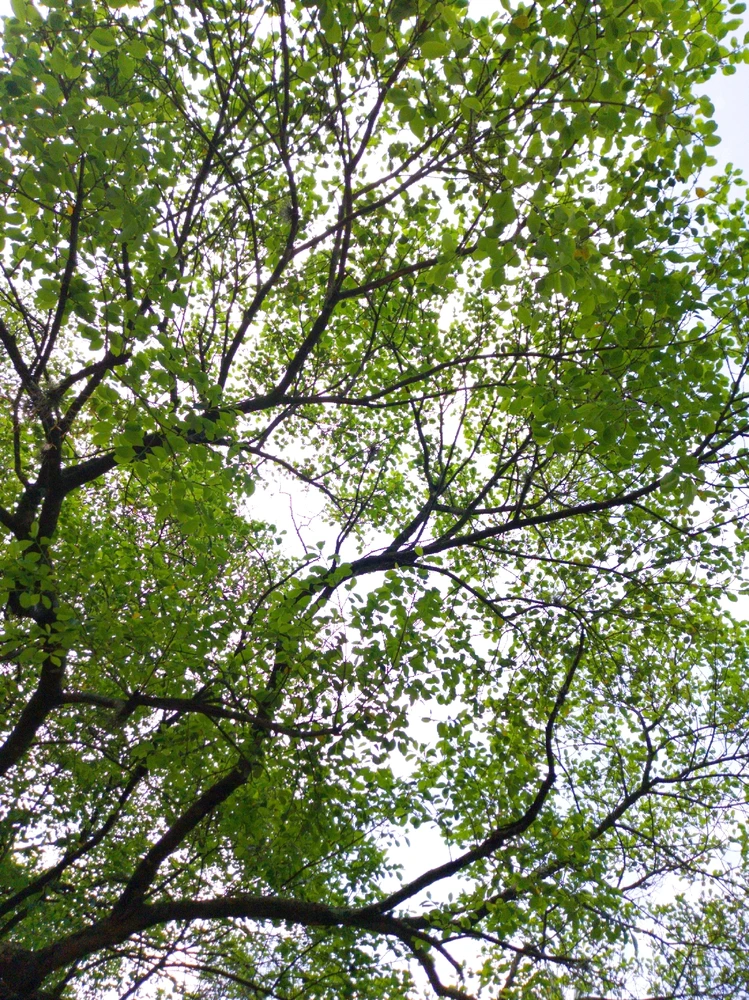 Imagem enviada por Rafa