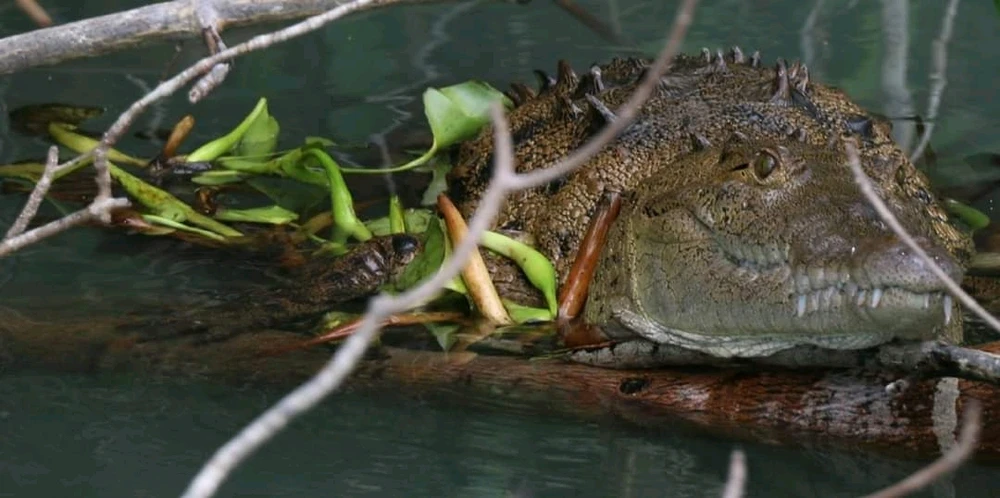 Image uploaded by Brandy ✨🌈