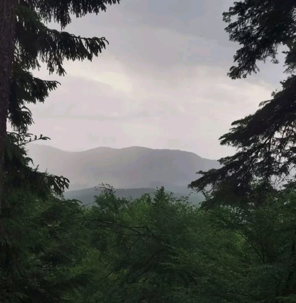 Imagine încărcată de Ioan