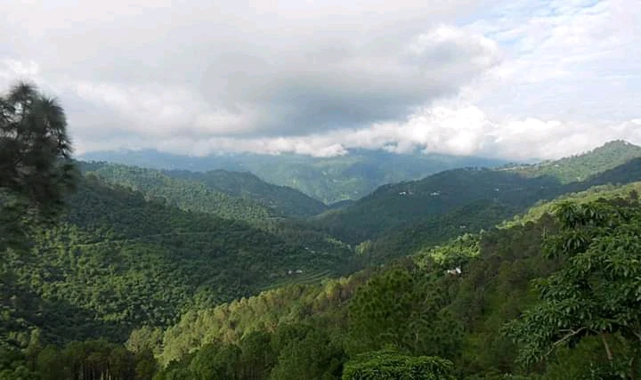 Himachal
