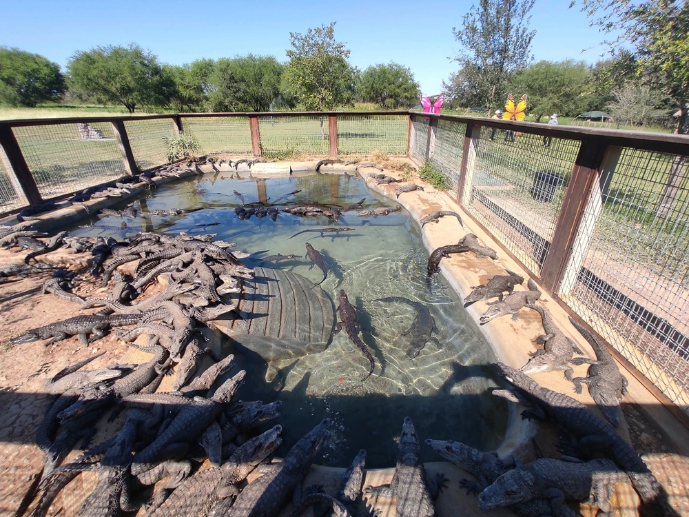 Bioparque β¨