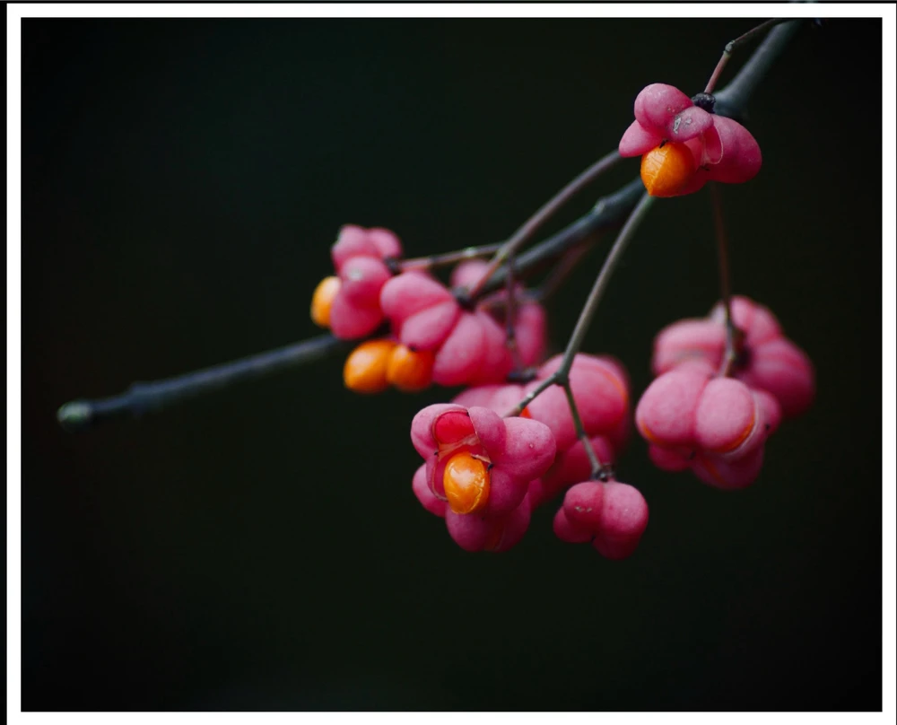 Fotku nahral/-a Erich