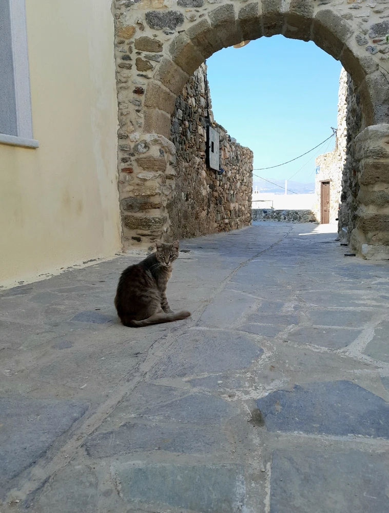 Image uploaded by Michalis