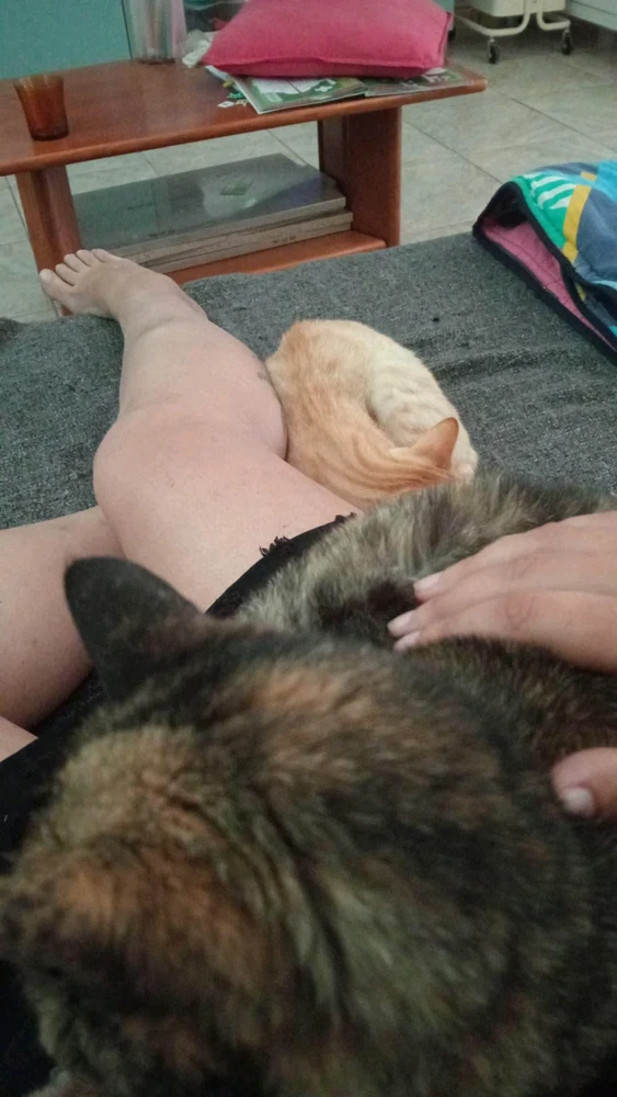 Imagem enviada por Cristina