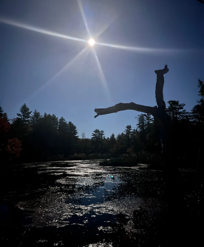 Image uploaded by Annie