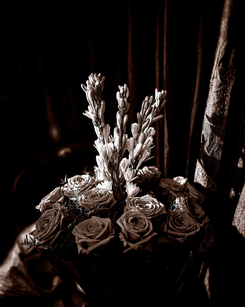 Image uploaded by Vishnu Sagar