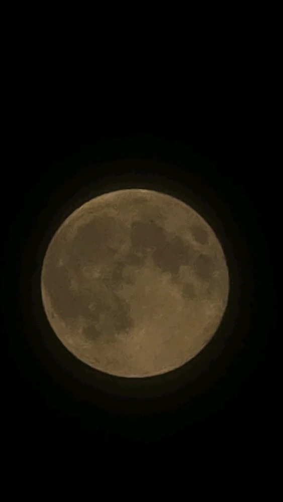 Image uploaded by Edwin