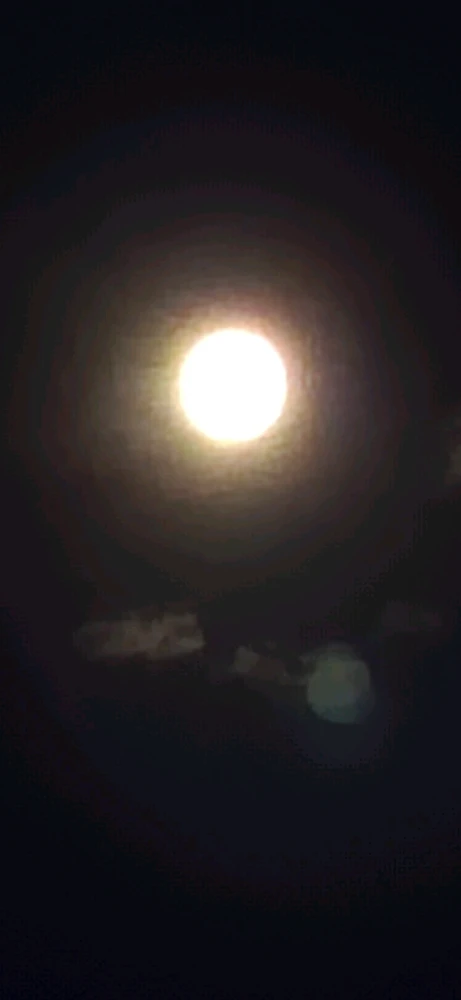 Bild hochgeladen von Kitty