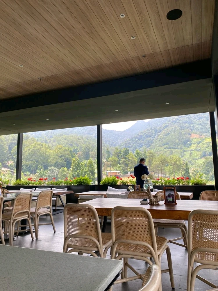 Image uploaded by Jessie