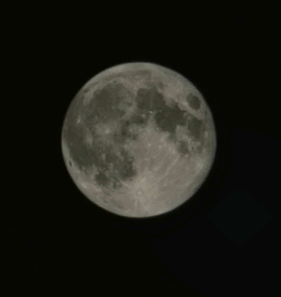 Image uploaded by Marley