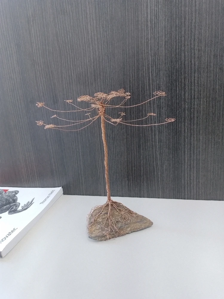 Imagem enviada por Flavio