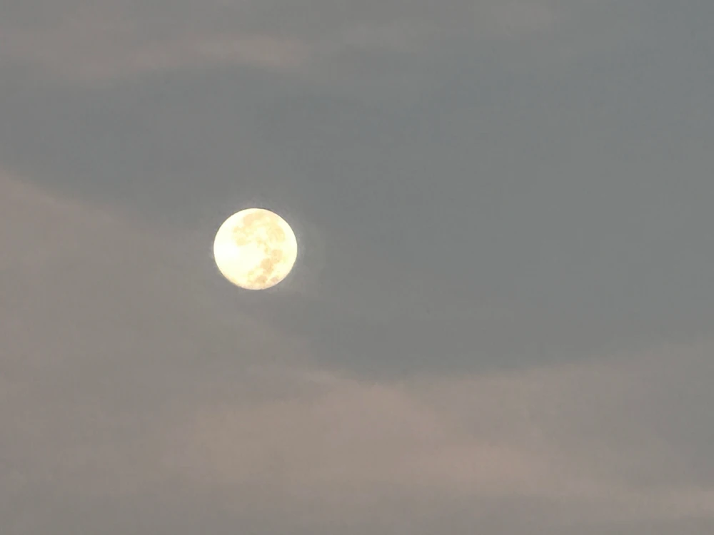 Image uploaded by Fran