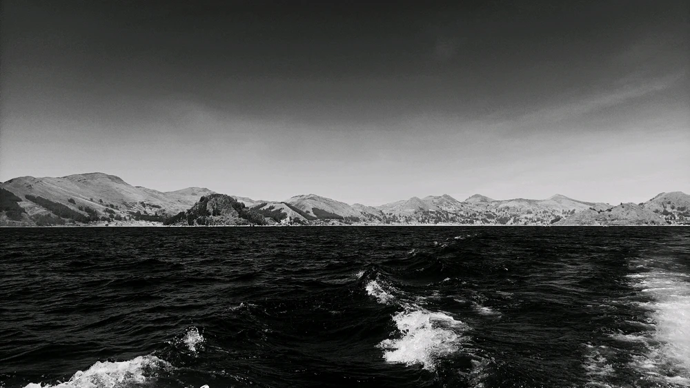 Image uploaded by Alessandra Krueger