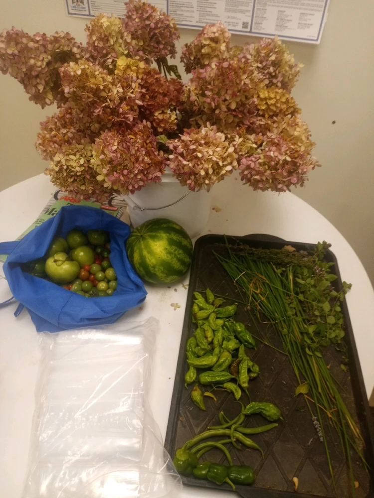 Image uploaded by milo