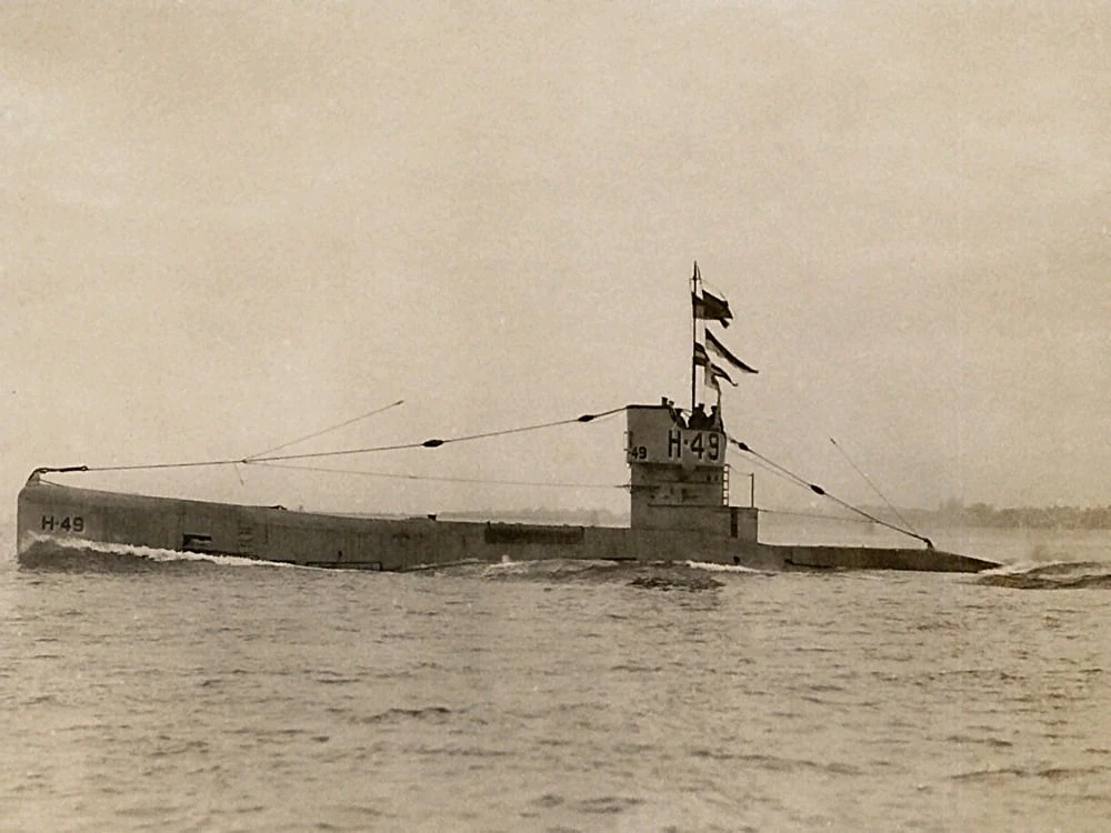 Image uploaded by Erik Thackrey