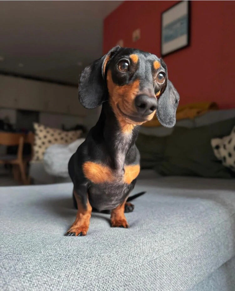 Norbi által feltöltött kép