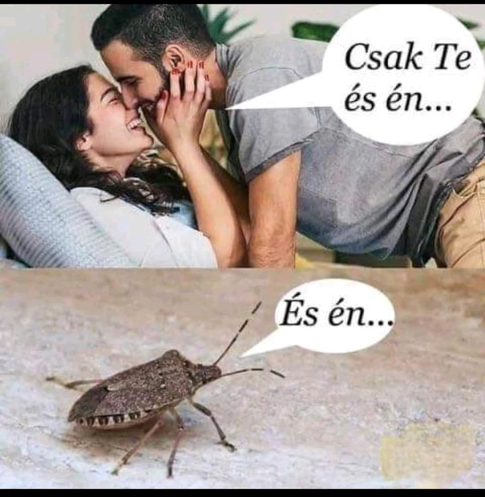 Dona 🦝👻🦝 által feltöltött kép